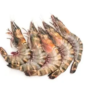Tiger Prawns 1kg