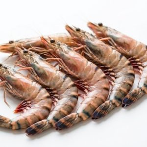 Tiger Prawns