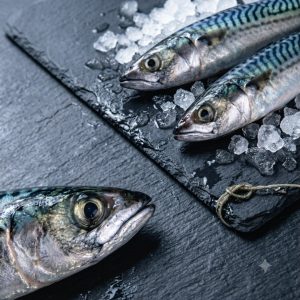 1kg Scumbia Fish