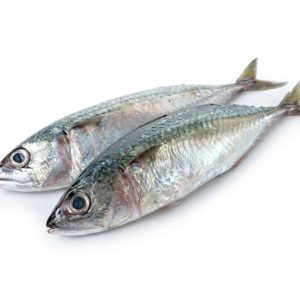 Stavrida Fish (Kote)