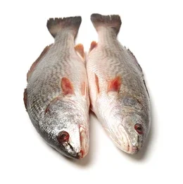 Croaker Fish 1kg