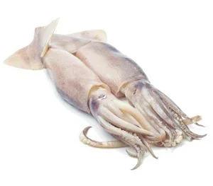 Calamari 1kg