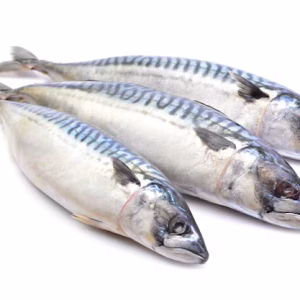 Scumbia Fish 1kg