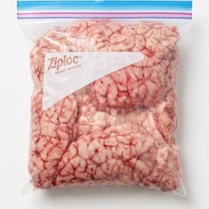 Cow Brain
