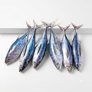 Tuna Fish