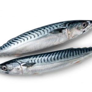 1kg Titus Fish (Kampala)